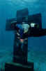 cdcross.jpg (11991 bytes)