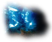 Night and Wreck Diving