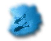 Incredible Cavern Diving