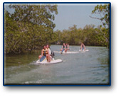 Cancun Jungle Tour - Cancun tours