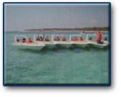 Cancun Jungle Tour - Cancun tours