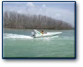 Cancun Jungle Tour - Cancun tours