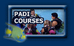 Book your Cancun diving today! Dive Cancun's best dive sites. 