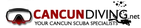 Cancun Diving - Your Cancun Scuba Diving Adventure Begins Here! Cancun Diving Packages, Dive Tours, & beginner Scuba Lessons