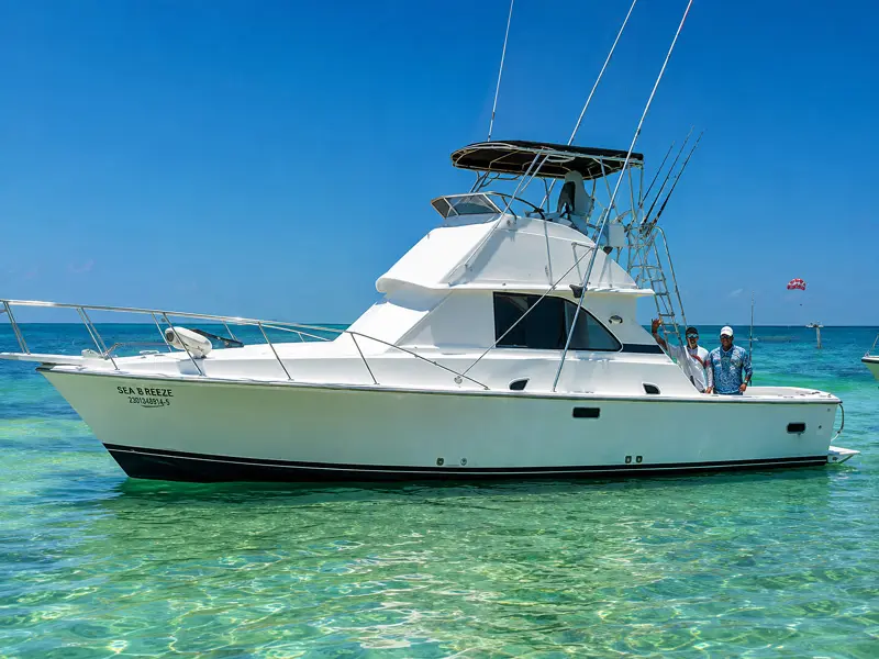 Cancun Tours