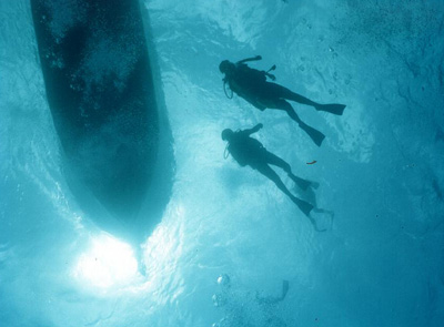 Cancun Scuba Divers
