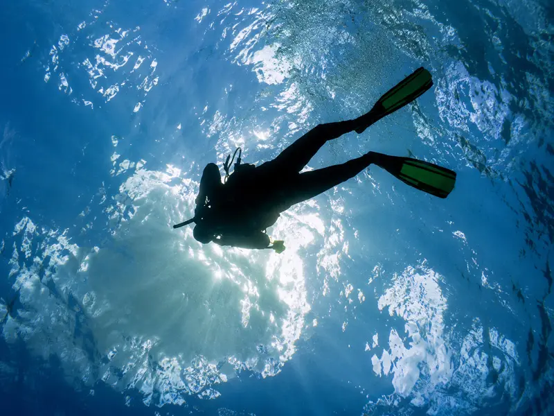 iver dropping into a beautiful Cancun Reef