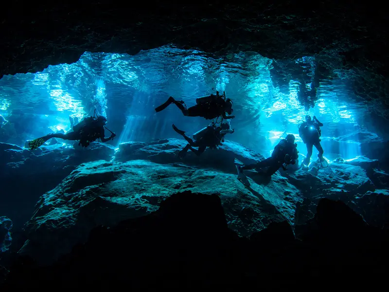 Snorkelers swimming on the open freshwater surface of a tropical jungle cenote