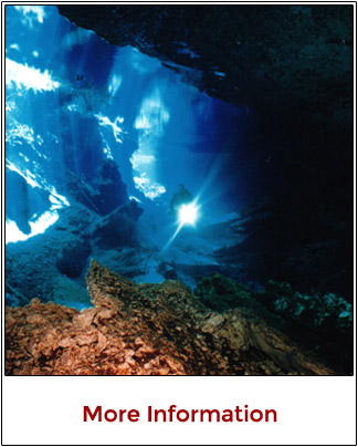 Diving in Cenotes