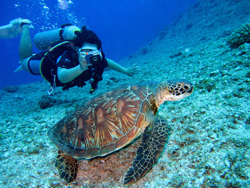 Cozumel Diving Sites