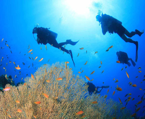 Diving in Cozumel