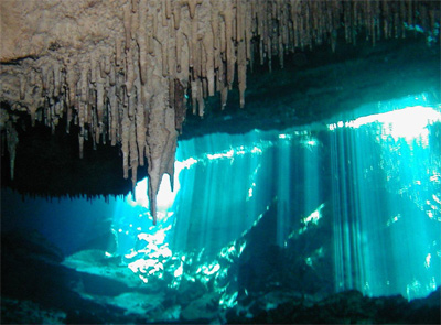 Riviera Maya Cenote and Cavern Diving